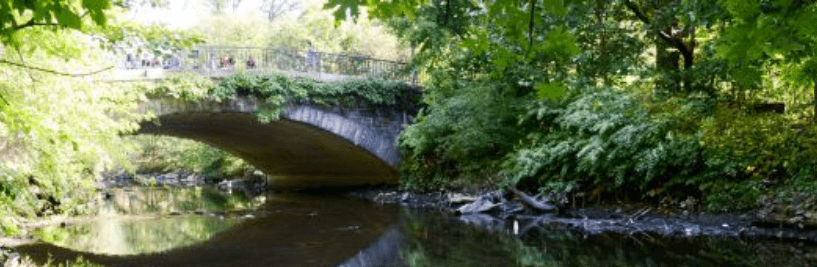 Bronx River Park