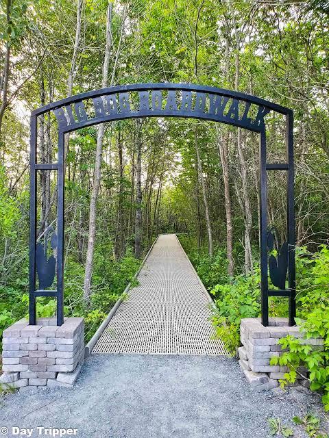 Big Bog State Recreation Area Northern Unit
